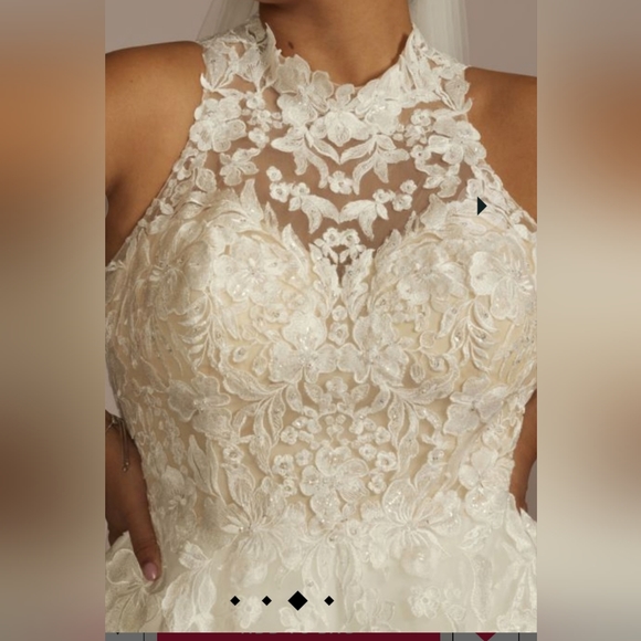 Beautiful Plus Size Wedding Dresses - Picture 2 of 12